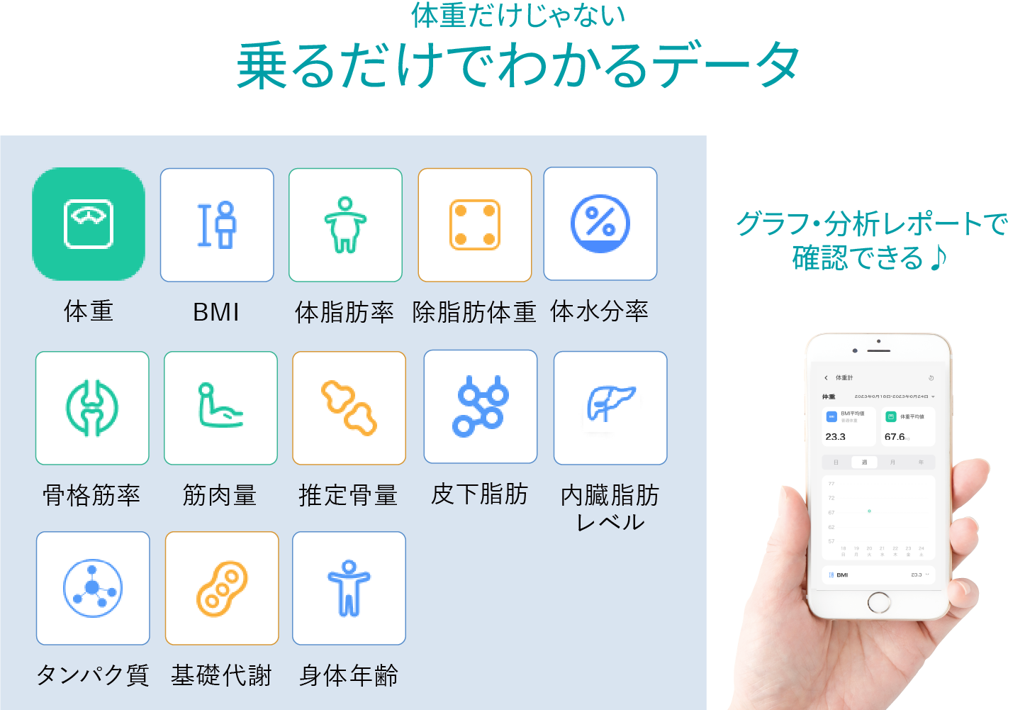 ヘルスメータ